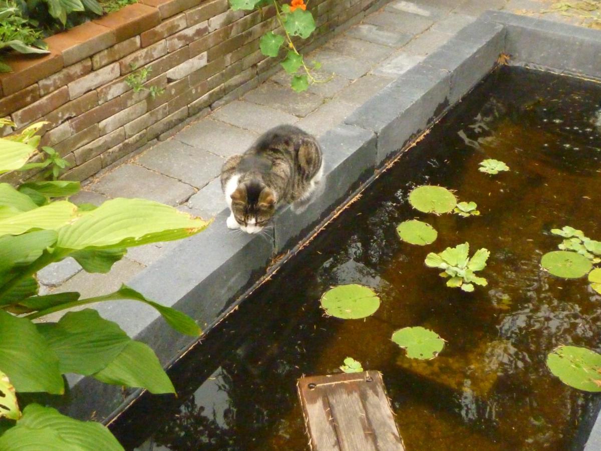 Doppelzimmer mit Gartenblick